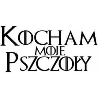 Naklejka samochodowa - wzór NS-007C