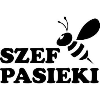 Naklejka samochodowa - wzór NS-016C