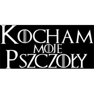 Naklejka samochodowa - wzór NS-007B