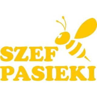 Naklejka samochodowa - wzór NS-016Y