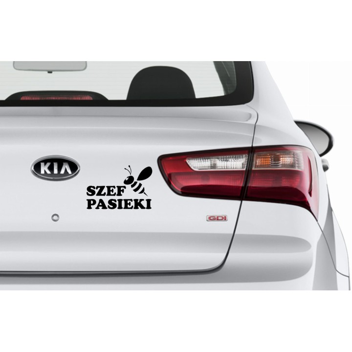 Naklejka samochodowa - wzór NS-016Y