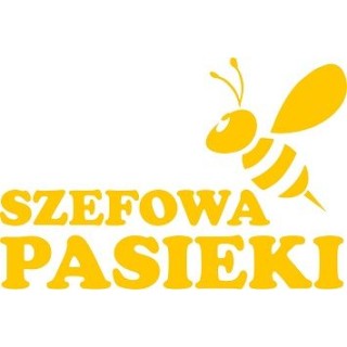 Naklejka samochodowa - wzór NS-018Y