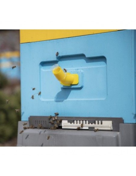 Sygnalizator roju - wzór L50_5