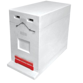 Ul 6-ramkowy  Dadant (niemalowany), z zapięciami