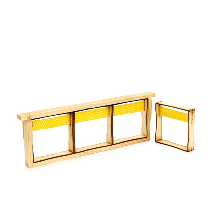 Ramka sekcyjna (6 szt) - wzór RMS