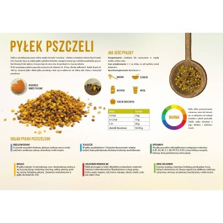 Duża tablica edukacyjna PYŁEK PSZCZELI - wzór F351