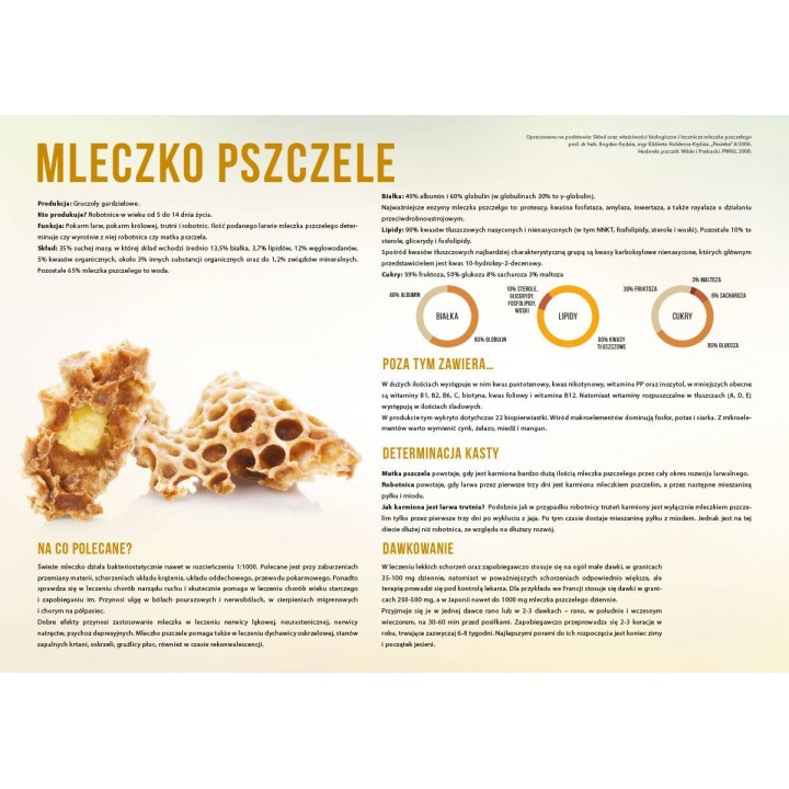 Duża tablica edukacyjna MLECZKO PSZCZELE - wzór F353