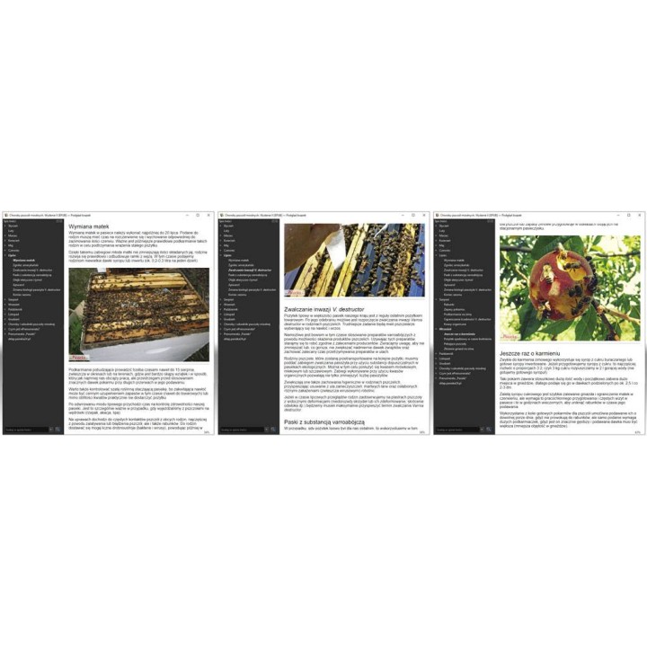 EBOOK Książka „Choroby pszczół miodnych." Wyd II - wzór EBOOKK1910