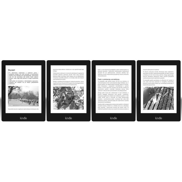 EBOOK Książka „Choroby pszczół miodnych." Wyd II - wzór EBOOKK1910