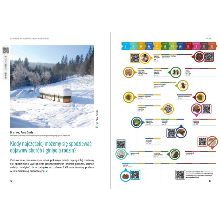 Książka „Rok w pasiece" wyd. II (praca zbiorowa pod redakcją Teresy Kobiałki) -  K2300
