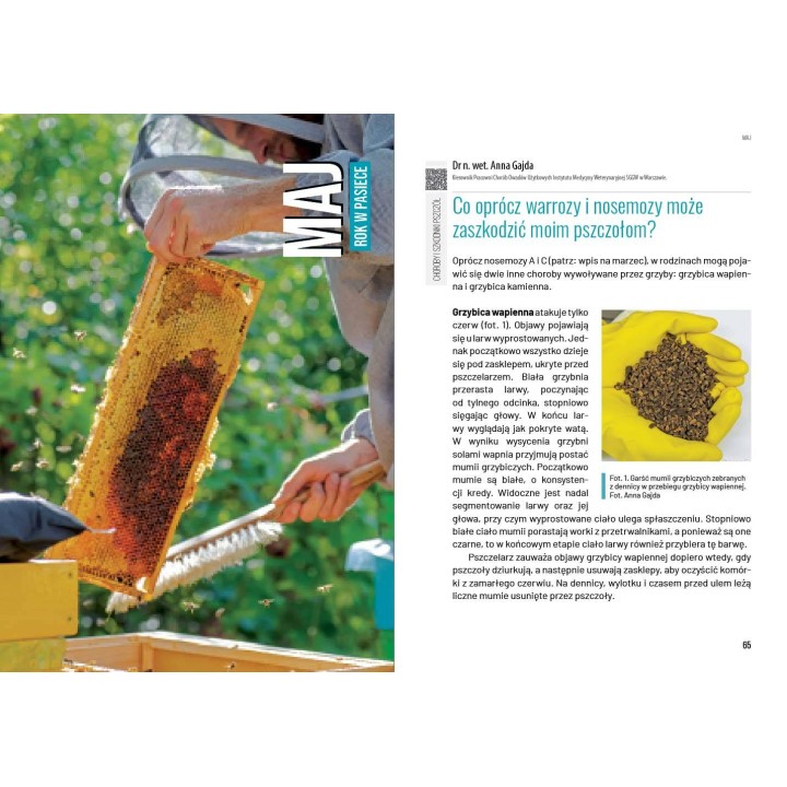 Książka „Rok w pasiece" wyd. II (praca zbiorowa pod redakcją Teresy Kobiałki) -  K2300