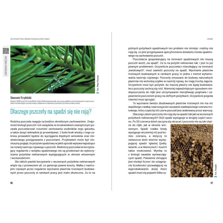 Książka „Rok w pasiece" wyd. II (praca zbiorowa pod redakcją Teresy Kobiałki) -  K2300