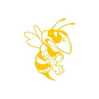 Naklejka samochodowa - wzór NS-027Y