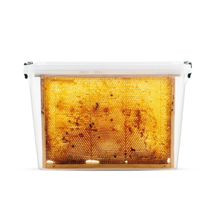 Pojemnik na ramki Wielkopolskie - PT2