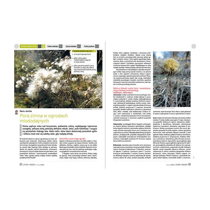 Pasieka nr 6/2022 (PAS116)