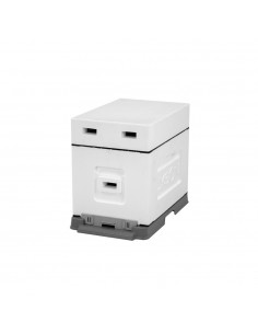 Ul 6-ramkowy z wręgami Wielkopolski niemalowany  (daszek,...