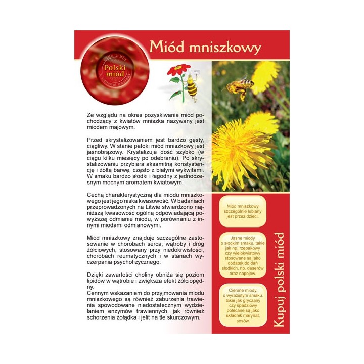 Broszurka informacyjna o miodzie - miód mniszkowy (20szt) - U11
