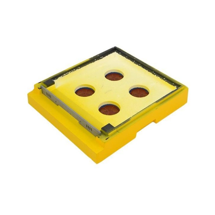 Dennica Wielkopolska, Ostrowskiej niska, malowana - W1043