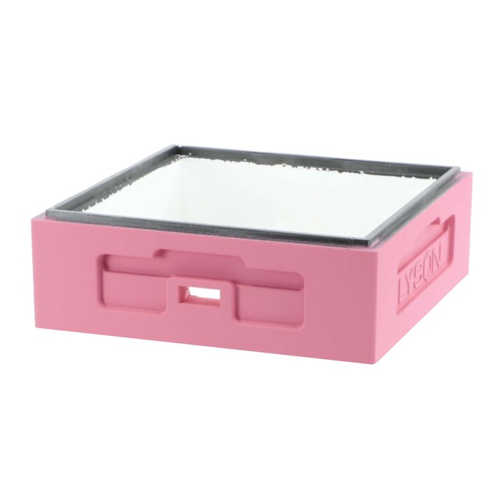 Korpus Wielkopolski 1/2 - malowany (różowy) - W1032_R