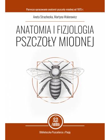 Anatomia i fizjologia pszczoły miodnej (Aneta Strachecka, Martyna Walerowicz) - K256