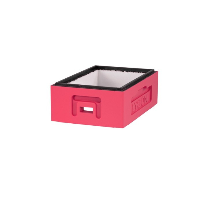 Korpus 6-ki Wielkopolski 1/2 malowany (różowy) - W1168_R