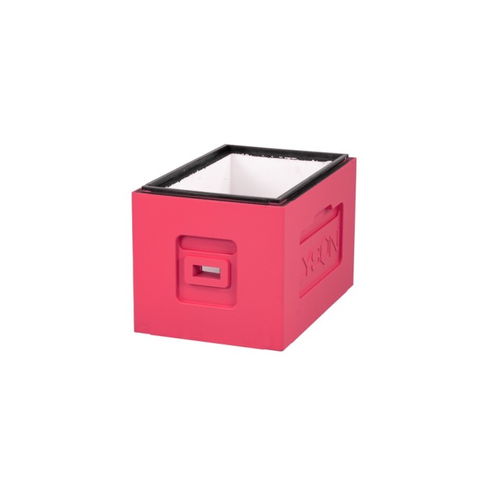 Korpus 6-ki Wielkopolski, malowany (różowy) - W1167_R