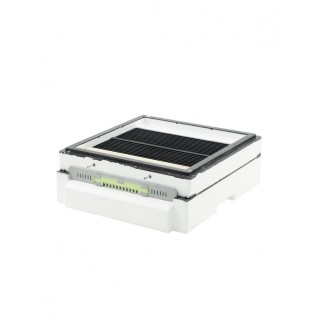 Dennica wysoka z segmentowym poławiaczem pyłku Wielkopolska 10-ramkowa/Ostrowskiej - W10370K