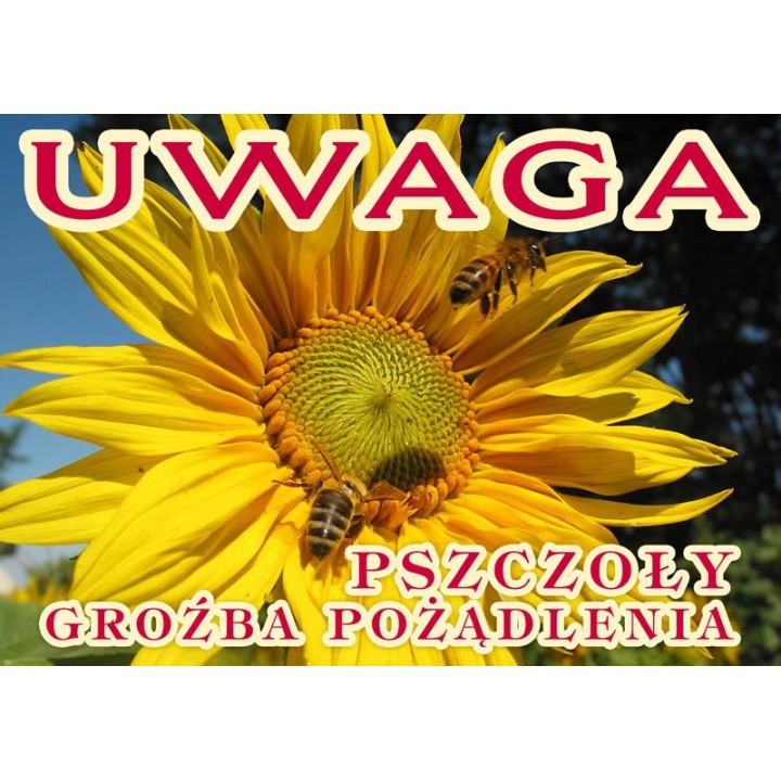 Średnia tablica ostrzegawcza UWAGA PSZCZOŁY - wzór F206
