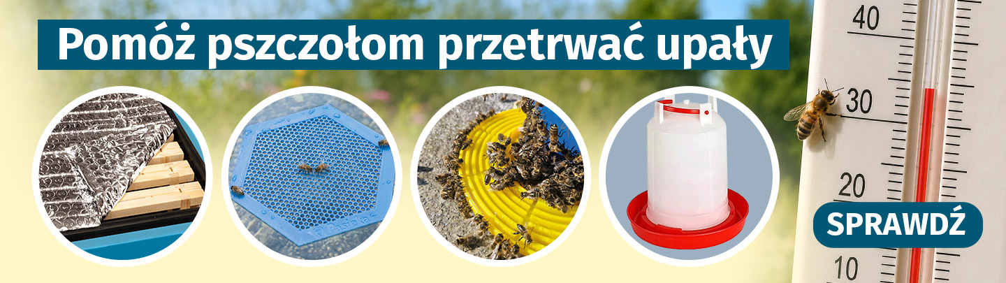 Pomóż pszczołom podczas upałów