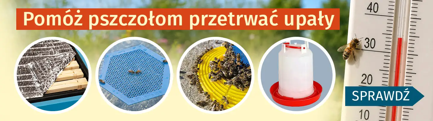 Pomóż pszczołom podczas upałów